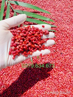 Bột Đậu Đỏ Nhà Làm