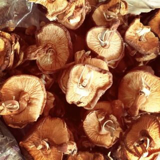 [FREESHIP 99K TOÀN QUỐC]Nấm Hương Rừng Lai Châu