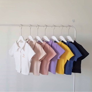 Áo Croptop Hoa Cúc Có Cổ - Kiểu Dáng Áo Polo