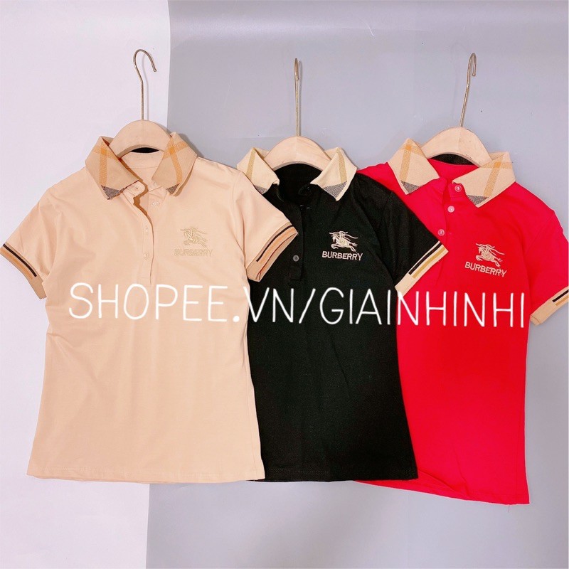 Áo thun cổ bẻ pha BBR, Áo phông ngắn tay cổ bẻ vải cotton co giãn AS1177 - NhiNhi Shop