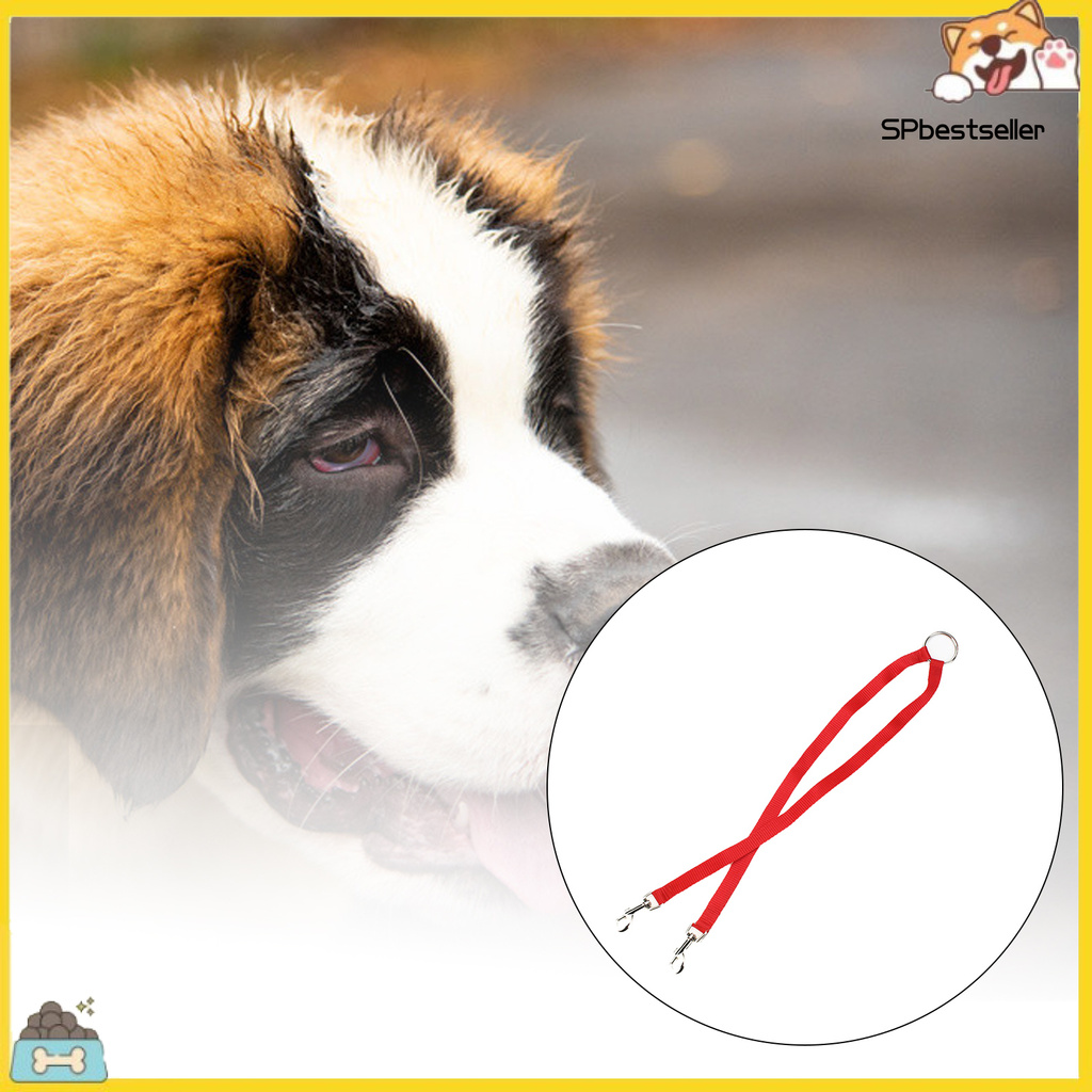 Dây Dắt Thú Cưng Đi Dạo