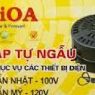 Đổi nguồn Lioa 1 pha 200va