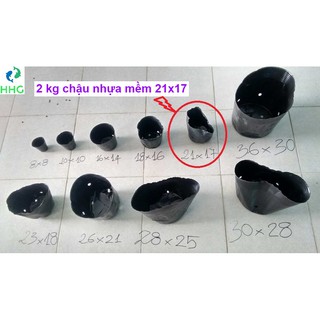 2KG CHẬU NHỰA MỀM ƯƠM CÂY 21x17 (BỊCH, TÚI BẦU 21X17), 2kg = khoảng 160 chậu 21x17