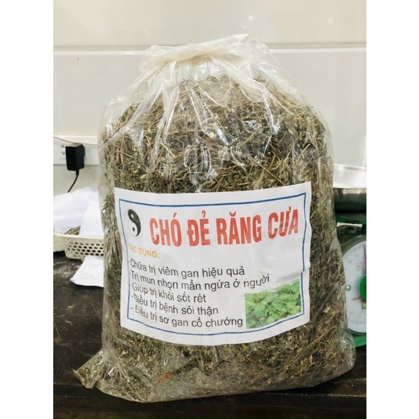 Diệp hạ châu  1 kg hàng xaNH KHÔ LOẠI 1