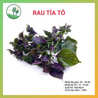 Hạt Giống Rau Tía Tô - 5g - Thu Hoạch Nhanh