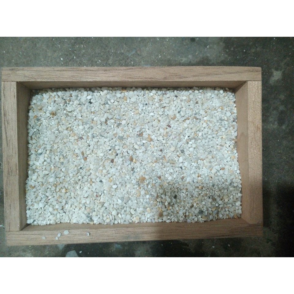 SỎI TRẮNG - 1 Kg/ gói