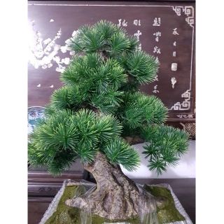 Cây giả bon sai để bàn (nhiều loại)