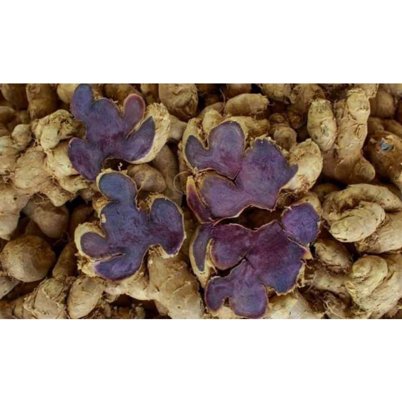 Gừng đen tươi loại 1 ( 1kg)