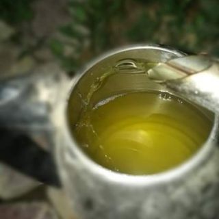 Tinh dầu bạc hà
