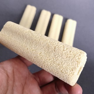 10 Cây Sứ Thanh Hoa Mai 10cm Cho Hồ Cá cảnh, Lọc Tràn Trên 3 ngăn, Ngôi Nhà Lý Tưởng ChoviSinh