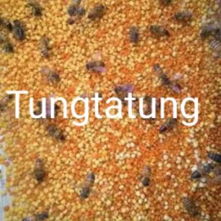 PHẤN HOA MẬT ONG TỰ NHIÊN 500G