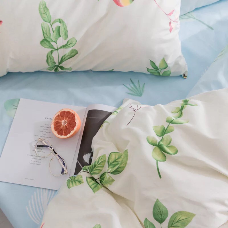 Bộ vỏ chăn ga gối cotton 100% (Quả Đu Đủ)