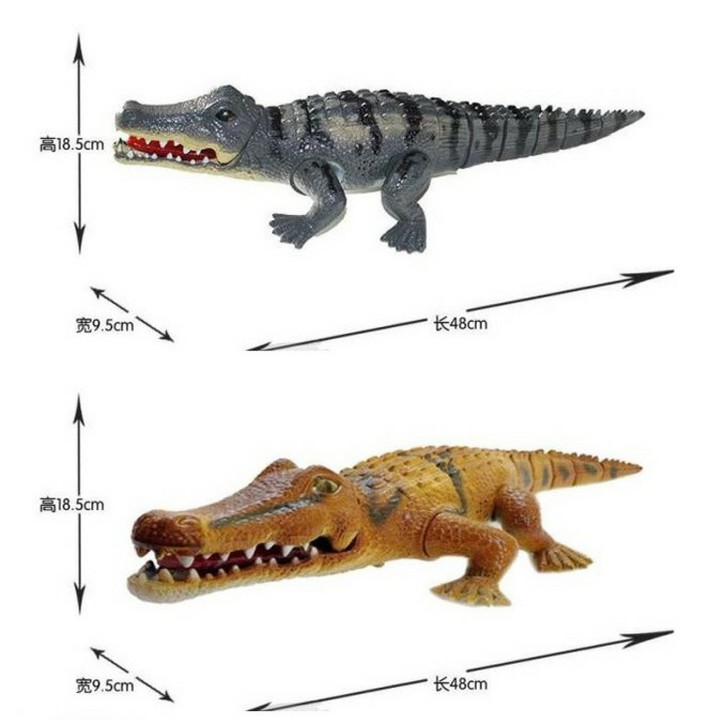 Cá sấu chạy pin có đèn