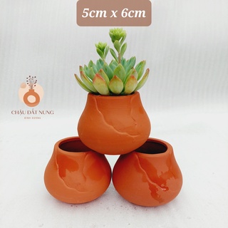 Chậu đất nung, Chậu sen đá - Chum 56, miệng chậu 5cm, chiều cao 6cm