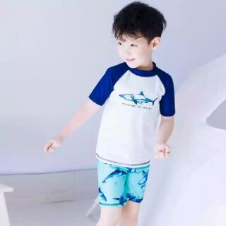 Set Áo bơi cá mập trắng