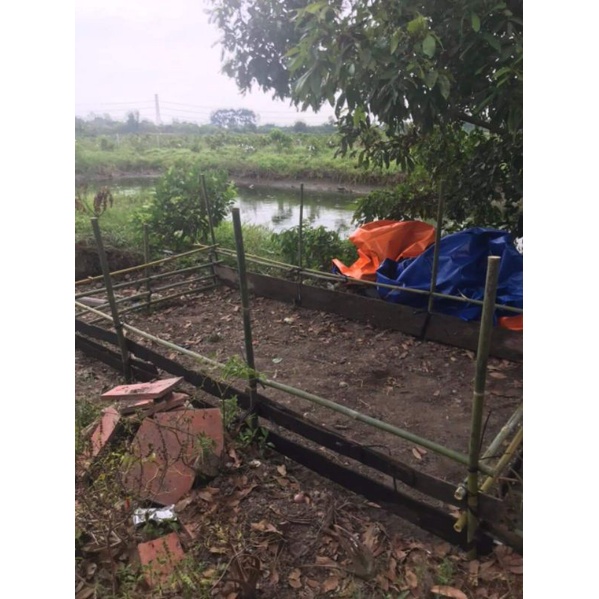 BỂ BẠT NUÔI ỐC ẾCH CÁ LƯƠN - 4x2x1