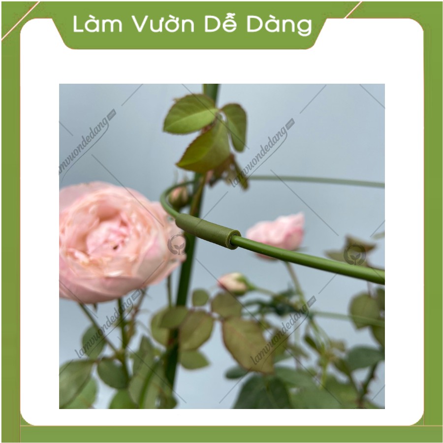 KHUNG TRÒN TRỒNG HOA - Làm giá đỡ cho cây, khung leo, khung đỡ cho các loại cây hoa leo, hồng leo.