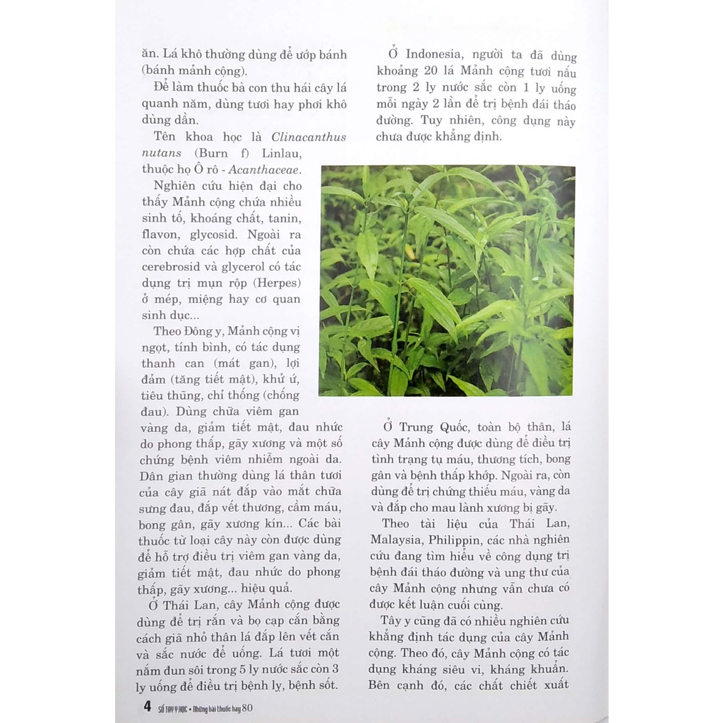 Sách Sổ Tay Y Học - Những Bài Thuốc Hay 80
