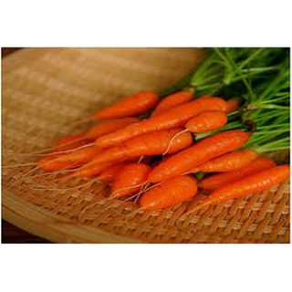 Hạt giống cà rốt 200 hạt