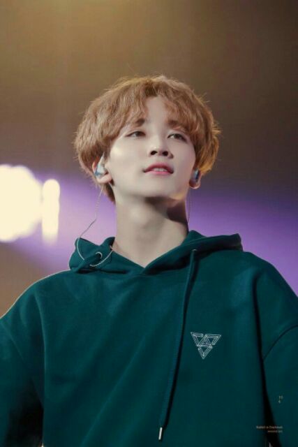 ÁO KHOÁC SEVENTEEN