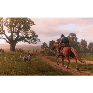 Đĩa chơi game PS4: Red Dead Redemption 2
