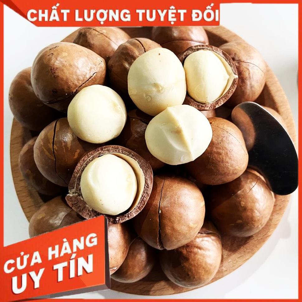 Hạt Macca Sấy Nứt Vỏ Tự Nhiên (Hạt To, Đều, Tặng Kèm Dụng Cụ Tách Vỏ) _ Macca Vụ Mới 2021 (500g) _BS