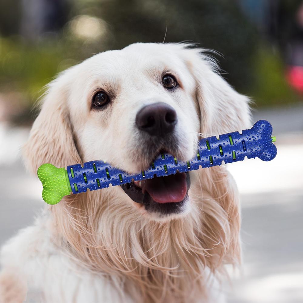 Bàn Chải Đánh Răng Silicone Massage Chăm Sóc Cho Chó