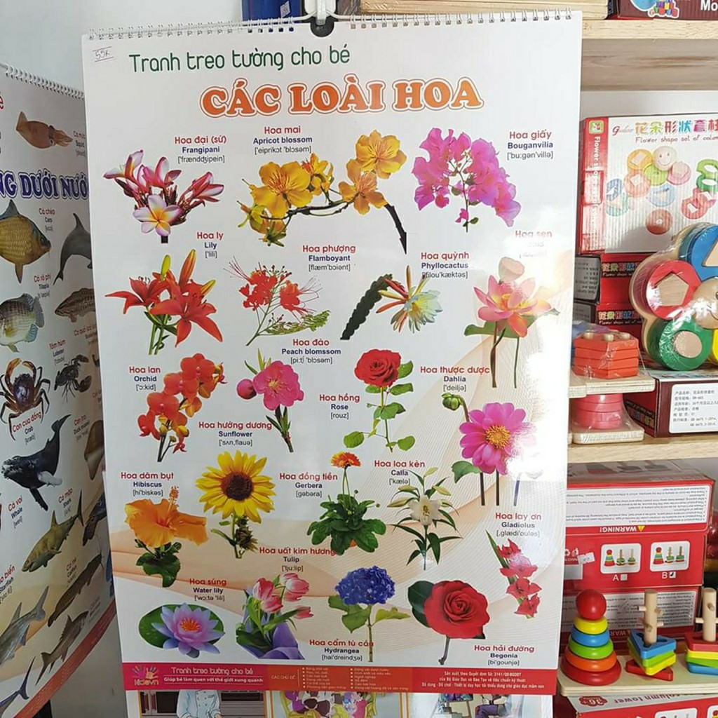 Tranh treo tường cho bé 14 chủ đề, TOGABO