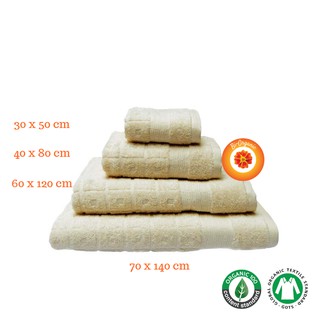 [40x80cm] KHĂN LAU ĐẦU BÔNG HỮU CƠ MOLLIS - Organic Cotton Towel