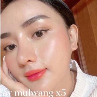 Tinh chất căng bóng da Mulwang X5