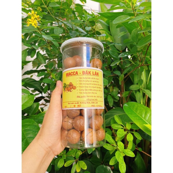HẠT MACCA ĐĂKLĂK 500GR