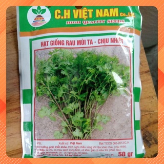 Hạt giống rau mùi ta chịu nhiệt 50g