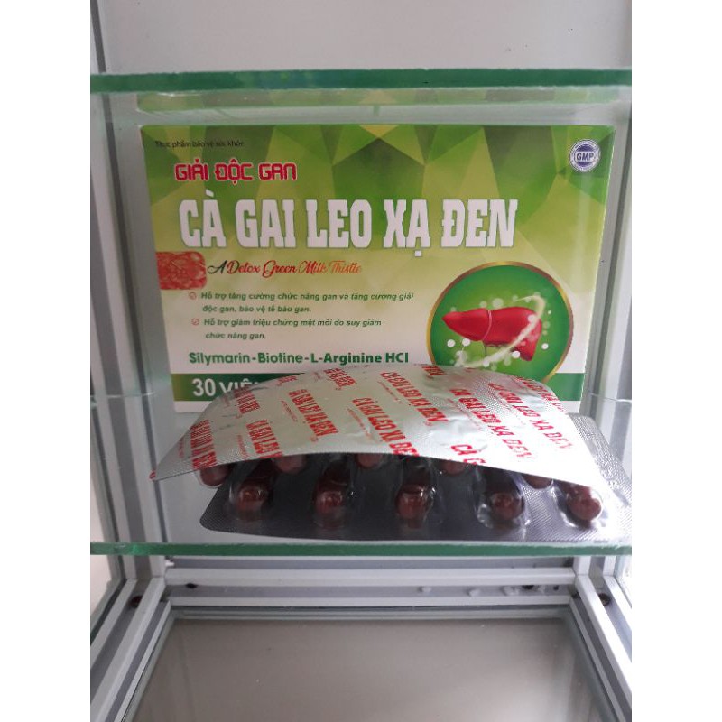Cà gai leo xạ đen giải độc bảo vệ chức năng gan Hộp 30v Tín Tâm shop | BigBuy360 - bigbuy360.vn