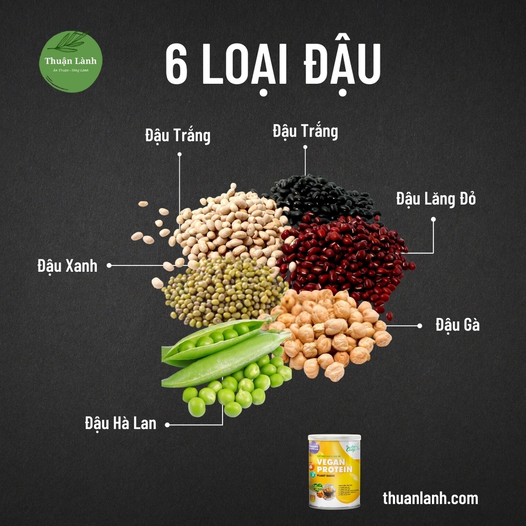 Vegan Protein - Bột rau củ đậu hạt - Thuận Lành