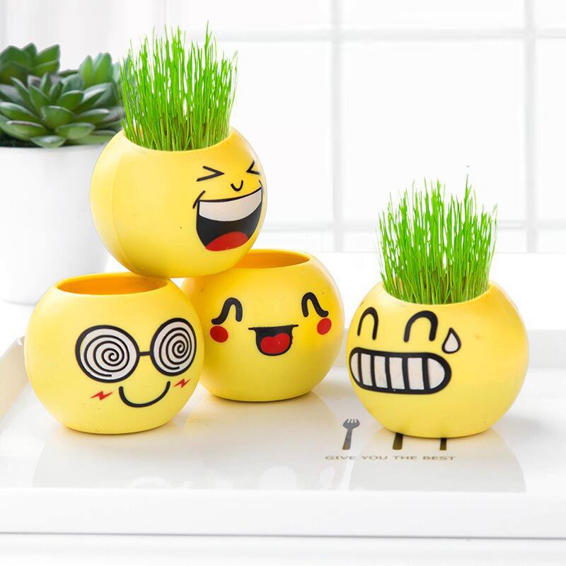 Chậu cây cảnh mini hình mặt cười đáng yêu, Emojji đẹp, chậu cây hình em bé baby xinh, tặng kèm đất và hạt giống cỏ tóc