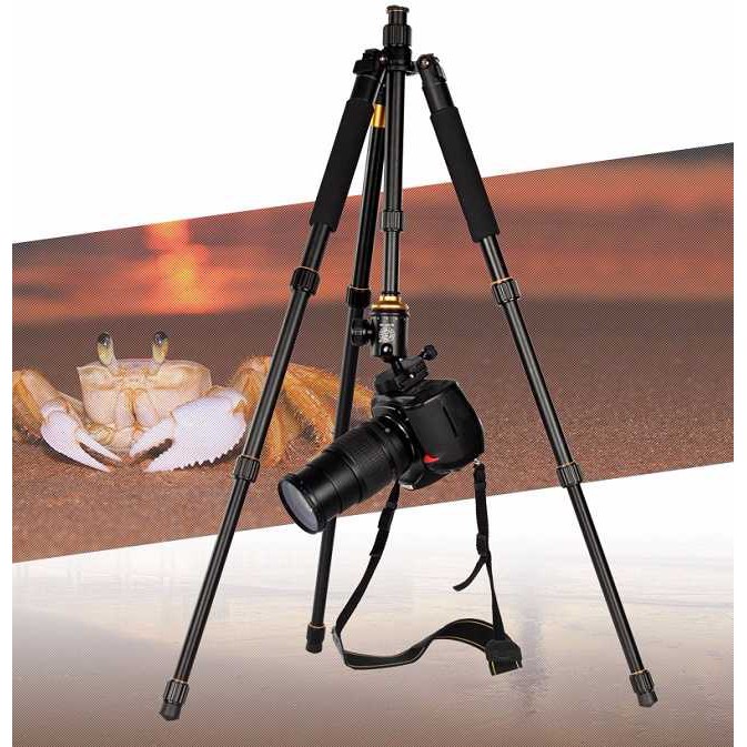 Chân máy ảnh Tripod Beike Q999