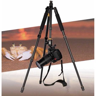Chân Máy Ảnh Tripod Beike Q999 HL Studio