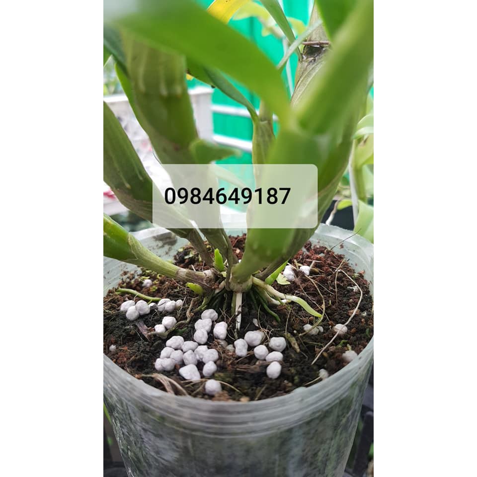 PHÂN CHÌ TAN CHẬM NHẬT HI-CONTROL 14-13-13