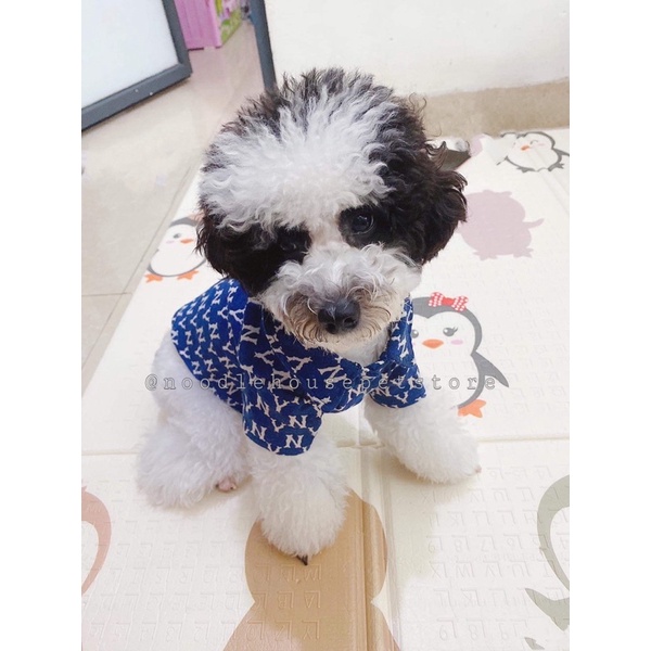 ÁO SƠ MI NY CHO THÚ CƯNG