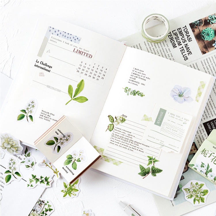 Hộp 46 chiếc sticker TRÀ TRẮNG LÁ XANH vintage tươi mát trang trí sổ Bullet Journal, decor Thư Thiệp Quà