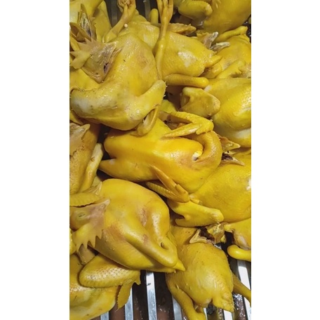 Gà Ri Ủ Muối nguyên con từ 1.1kg - 1.3kg[ Hàng sẵn giao nhanh TP.HCM] | BigBuy360 - bigbuy360.vn