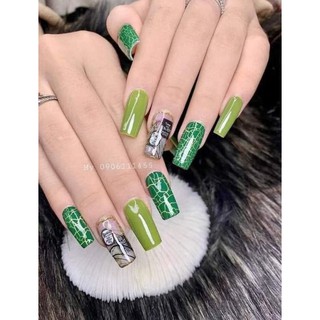sơn nứt 5 màu