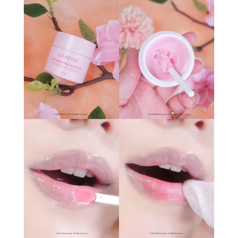 Set Mặt Nạ Ngủ Dưỡng Môi Laneige Lip Sleeping Mask EX + GIFT [CHERRY BLOSSOM]