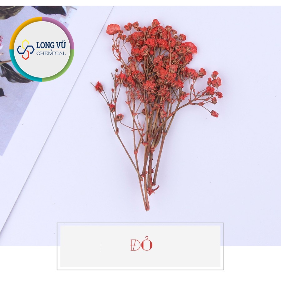 Set Hoa Sao Khô 7 Màu - Nguyên Liệu Dùng Làm Trang Trí- Thủ Công Handmade