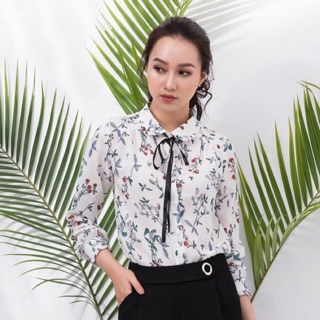 👚sơ mi voan lụa - cổ thắt nơ