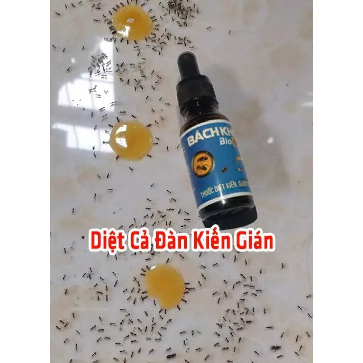 [Hiệu Quả 100%] Thuốc diệt kiến, diệt gián BioTech thổi bay côn trùng khỏi gia đình bạn