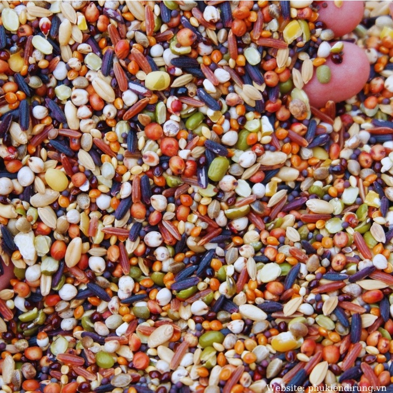 Ngũ Cốc Trộn 20 Loại Hạt Cho Chim Cu Gáy