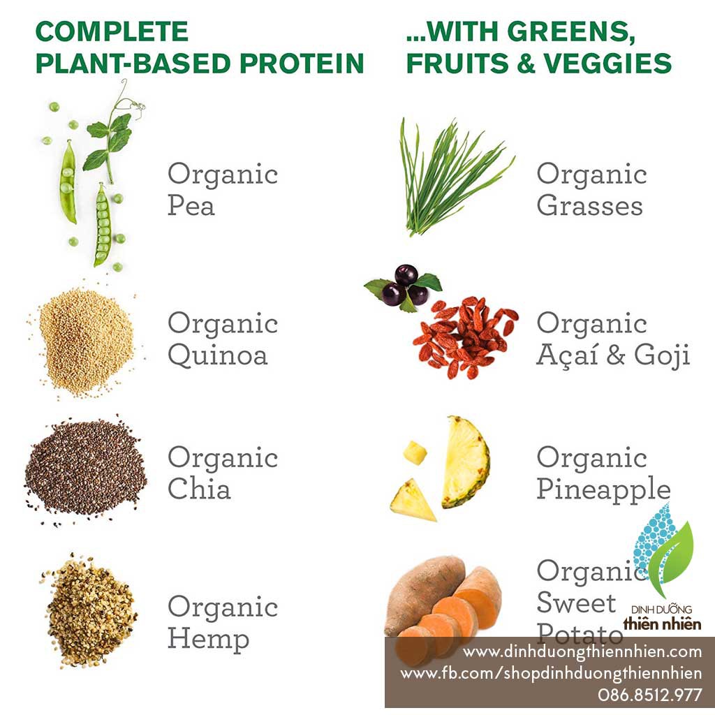 [Mã 77FMCGSALE giảm 8% đơn 500K] Bột Protein Thực Vật Hữu Cơ Amazing Grass Organic Protein Superfood Powder | BigBuy360 - bigbuy360.vn