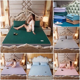 Chiếu điều hòa Tencel Latex từ cao su non êm mát