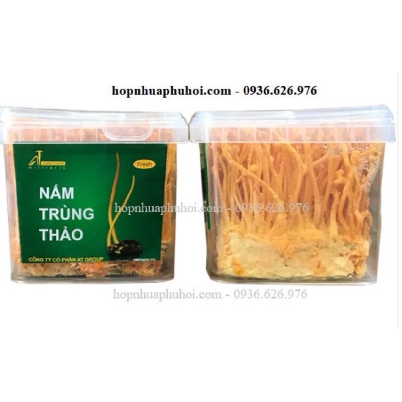 Hộp nhựa vuông 500ml 700ml 1250ml đựng kem, ghẹ ngâm tương, đông trùng nắp gài chốt